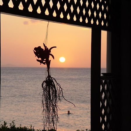 Sosua By The Sea Hotell Exteriör bild